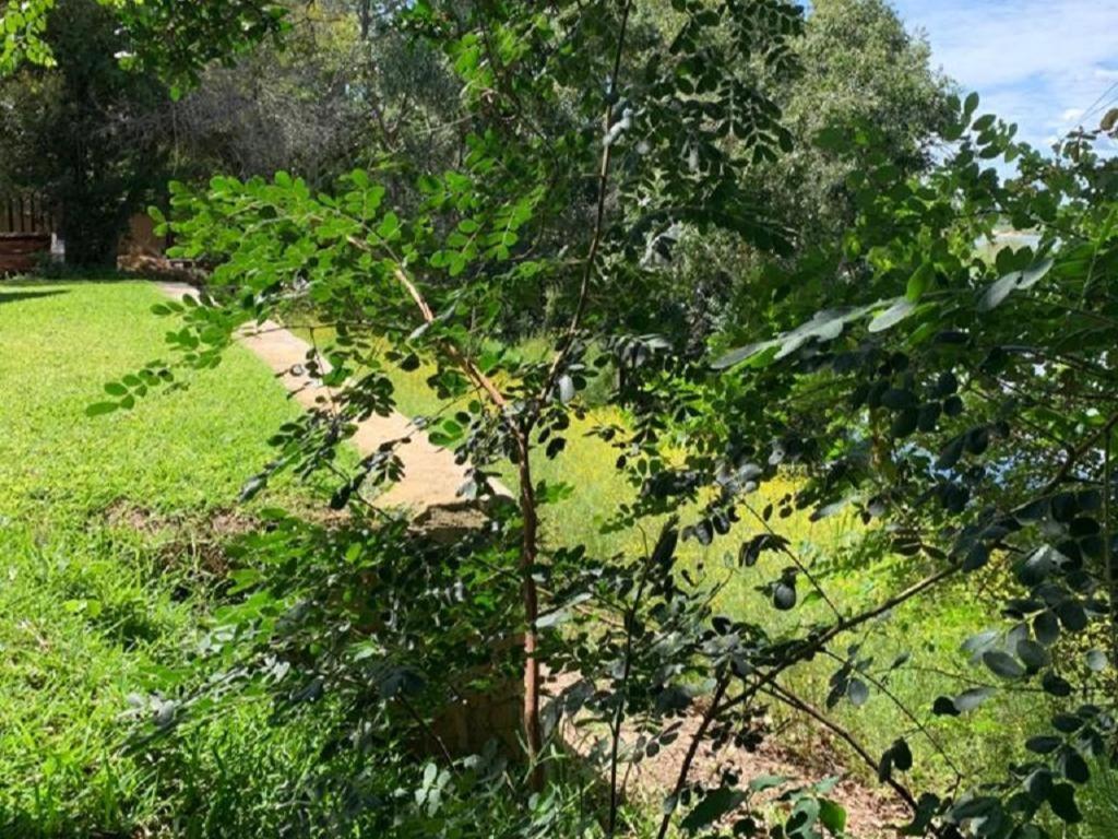 Juda Haus Lodge Katima Mulilo Bagian luar foto
